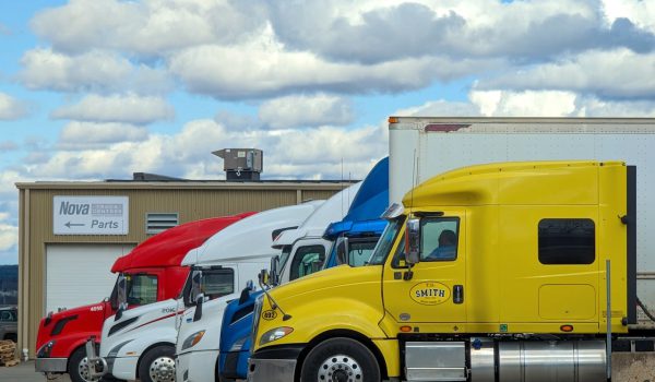 Freight Forwarding & Cargo Logistics