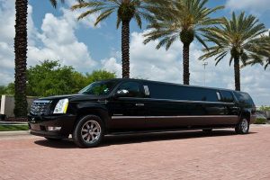 Limousine Service Company